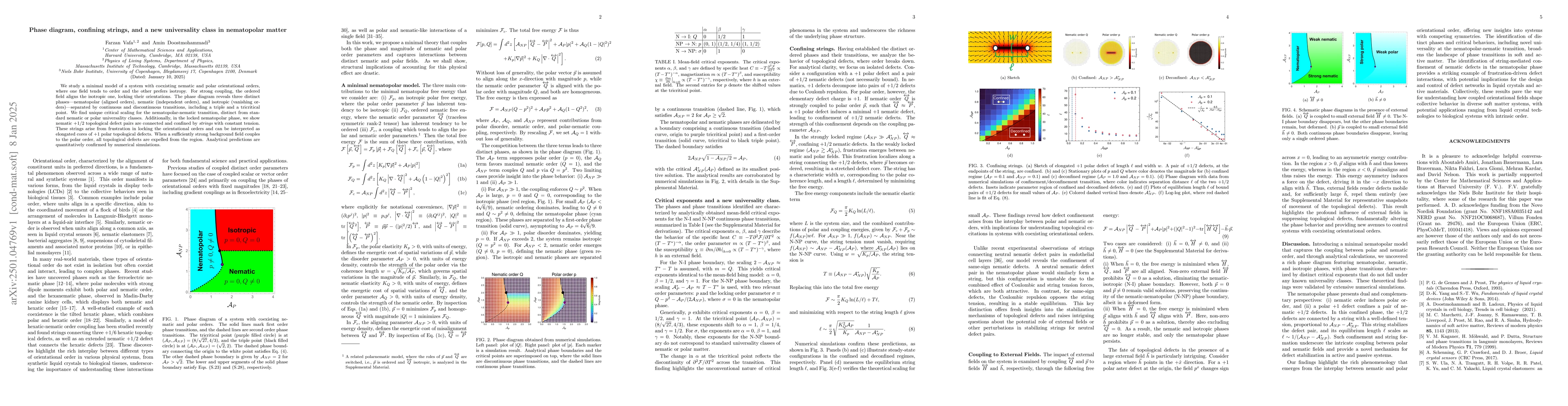 Thumbnail for Phase diagram, confining strings, and a new universality class in
  nematopolar matter