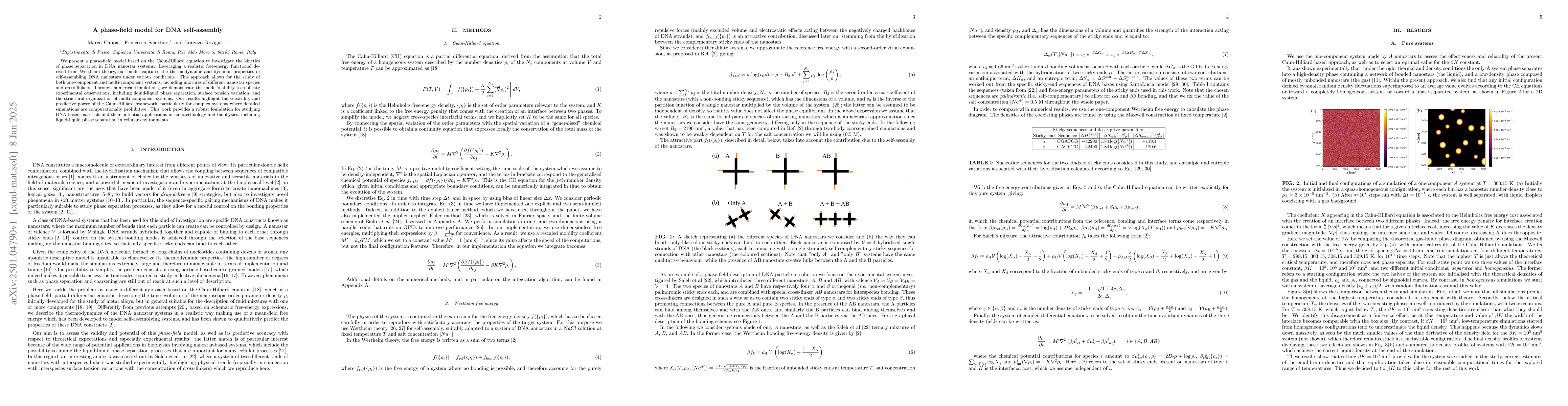 Thumbnail for A phase-field model for DNA self-assembly