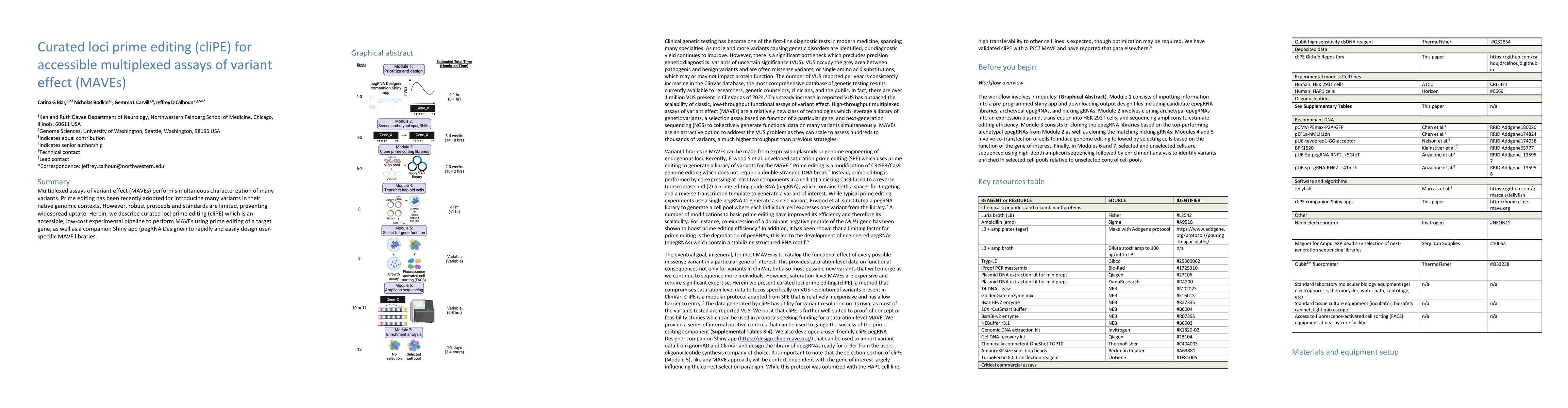 Thumbnail for Curated loci prime editing (cliPE) for accessible multiplexed assays of
  variant effect (MAVEs)
