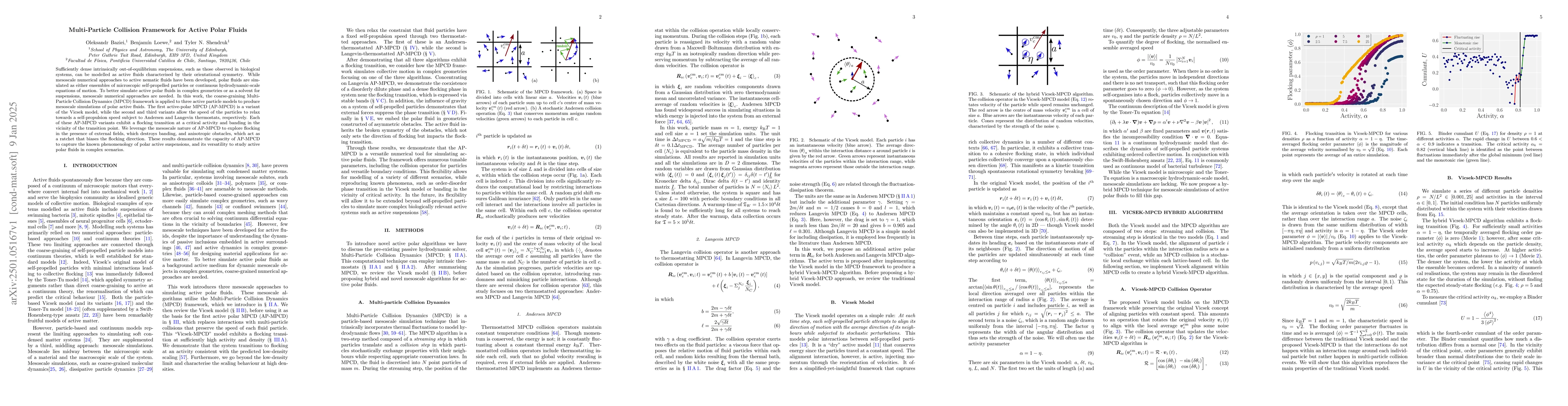 Thumbnail for Multi-Particle Collision Framework for Active Polar Fluids