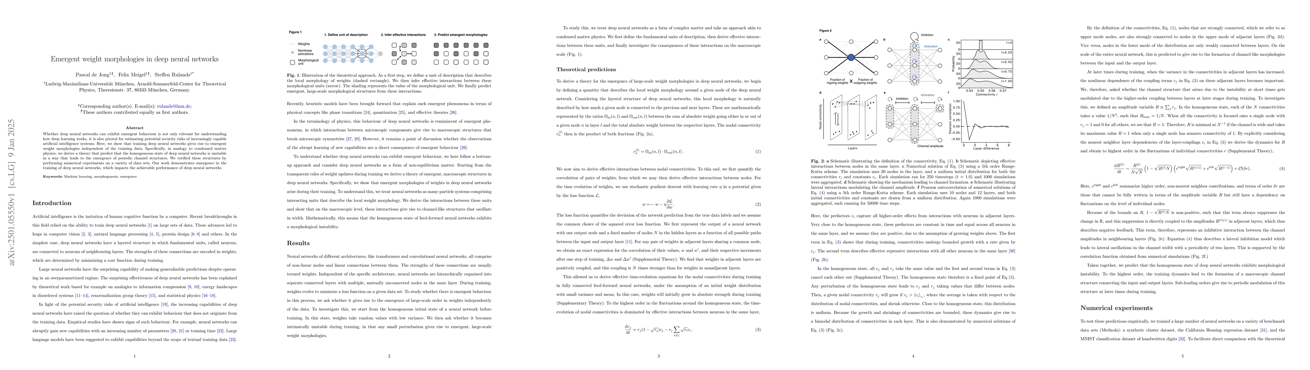 Thumbnail for Emergent weight morphologies in deep neural networks