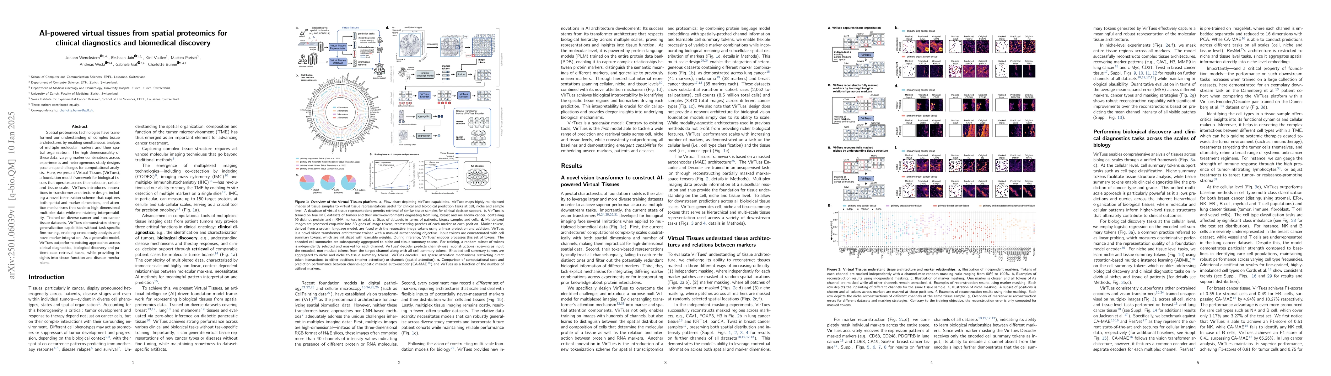 Thumbnail for AI-powered virtual tissues from spatial proteomics for clinical
  diagnostics and biomedical discovery