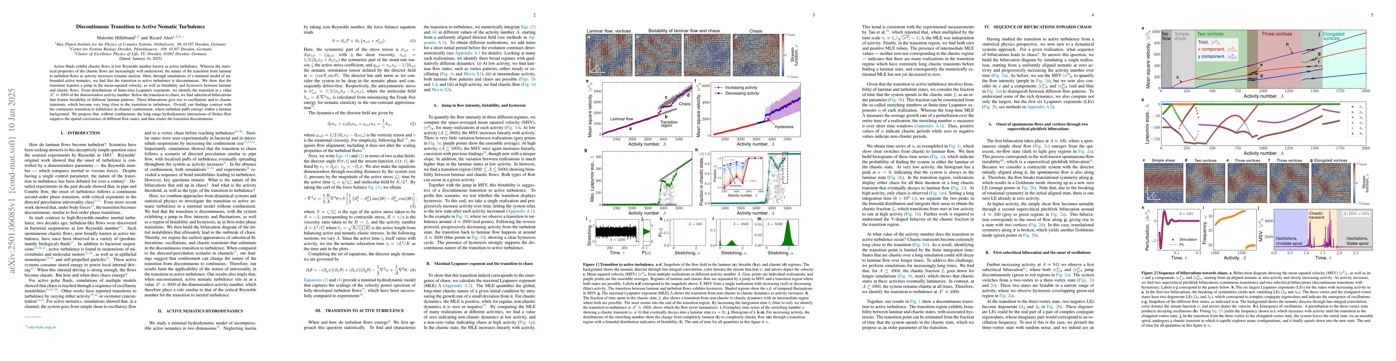 Thumbnail for Discontinuous Transition to Active Nematic Turbulence