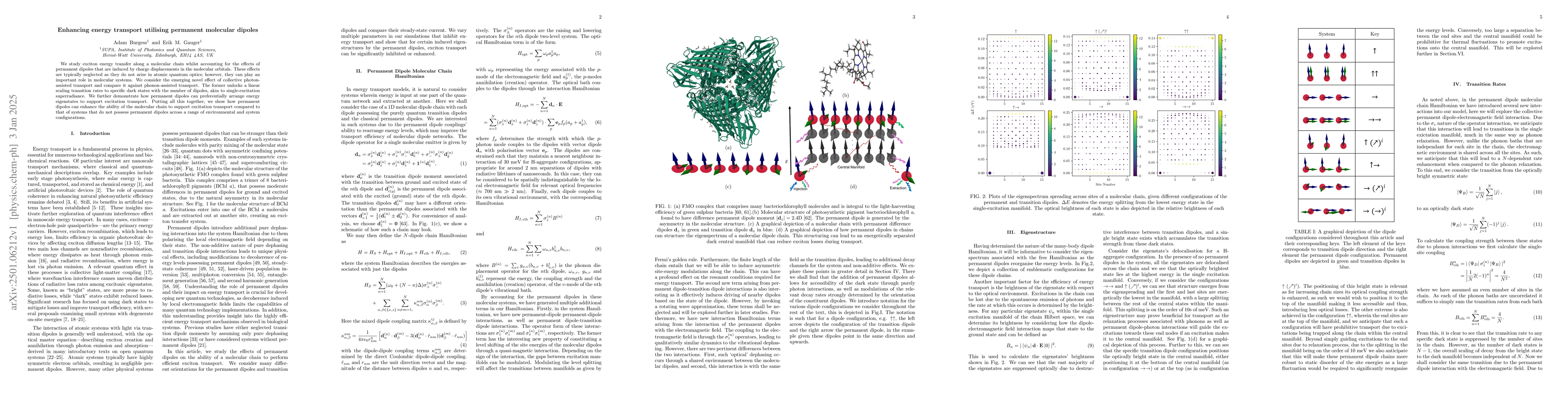 Thumbnail for Enhancing energy transport utilising permanent molecular dipoles