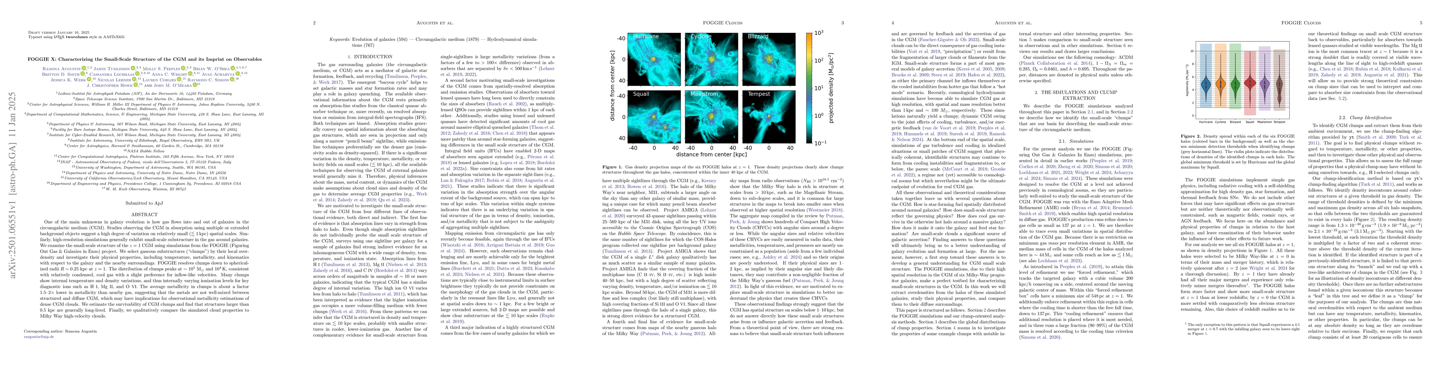 Thumbnail for FOGGIE X: Characterizing the Small-Scale Structure of the CGM and its
  Imprint on Observables