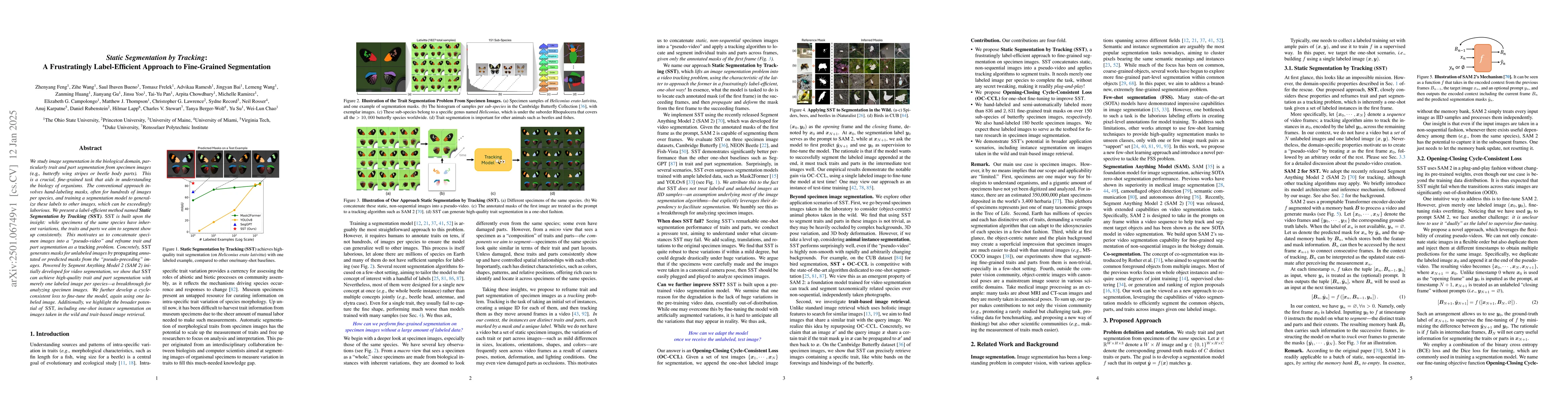 Thumbnail for Static Segmentation by Tracking: A Frustratingly Label-Efficient
  Approach to Fine-Grained Segmentation