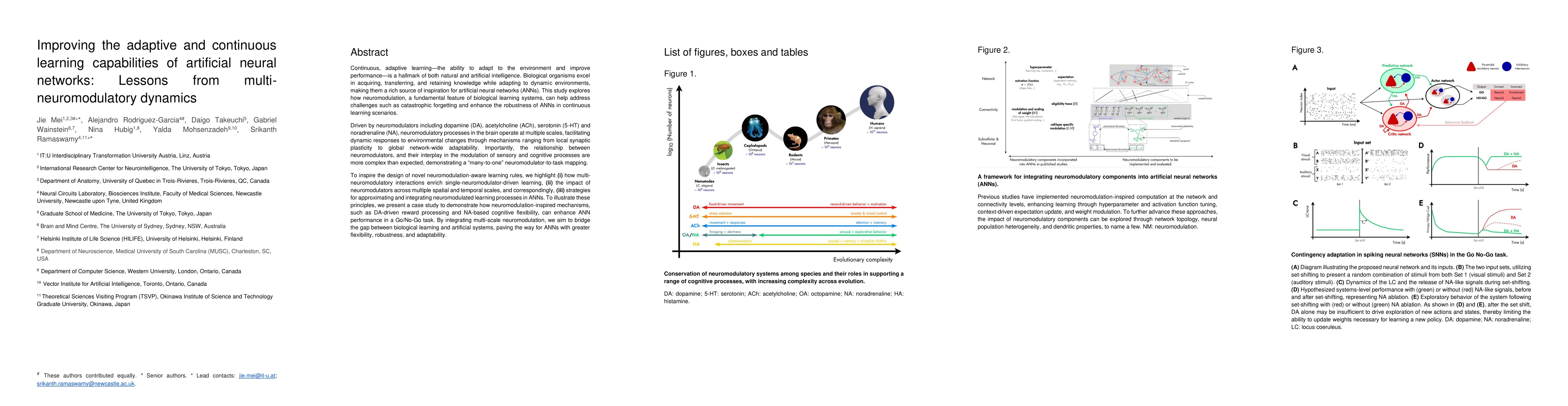 Thumbnail for Improving the adaptive and continuous learning capabilities of
  artificial neural networks: Lessons from multi-neuromodulatory dynamics