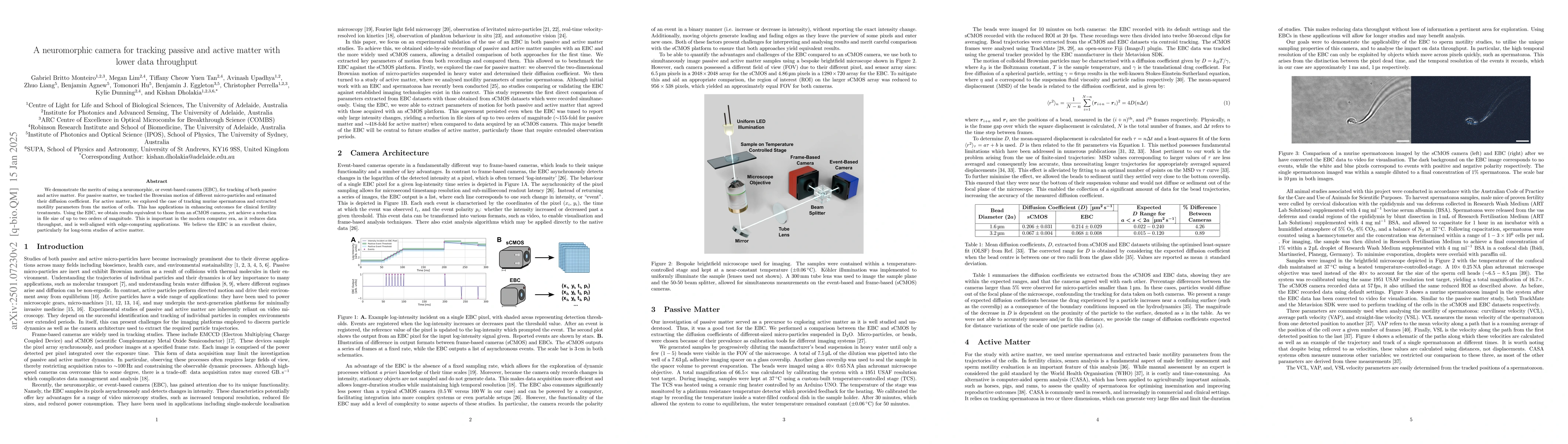 Thumbnail for A neuromorphic camera for tracking passive and active matter with lower
  data throughput