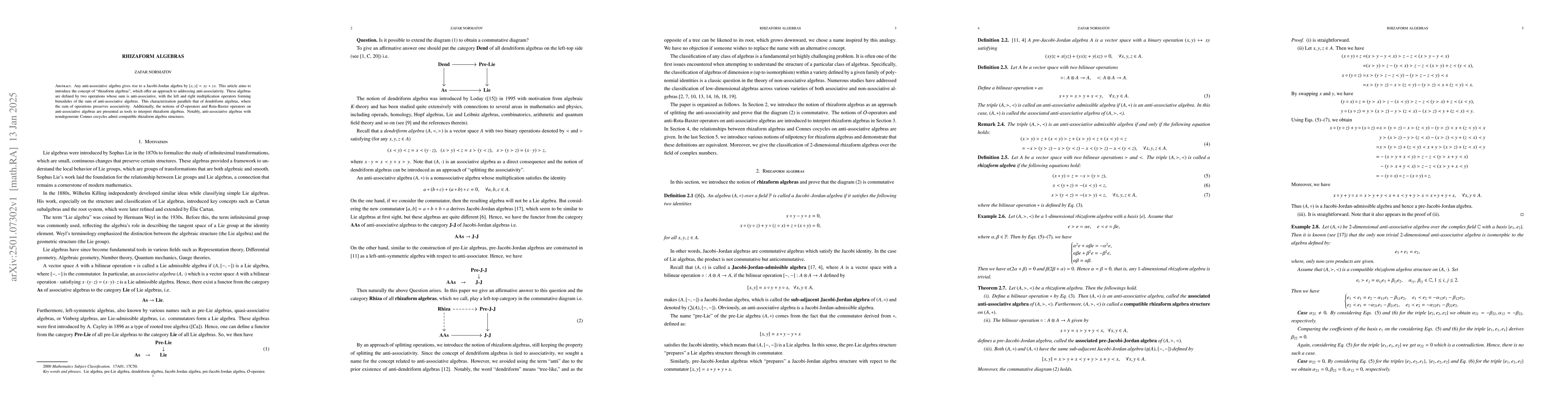 Thumbnail for Rhizaform algebras