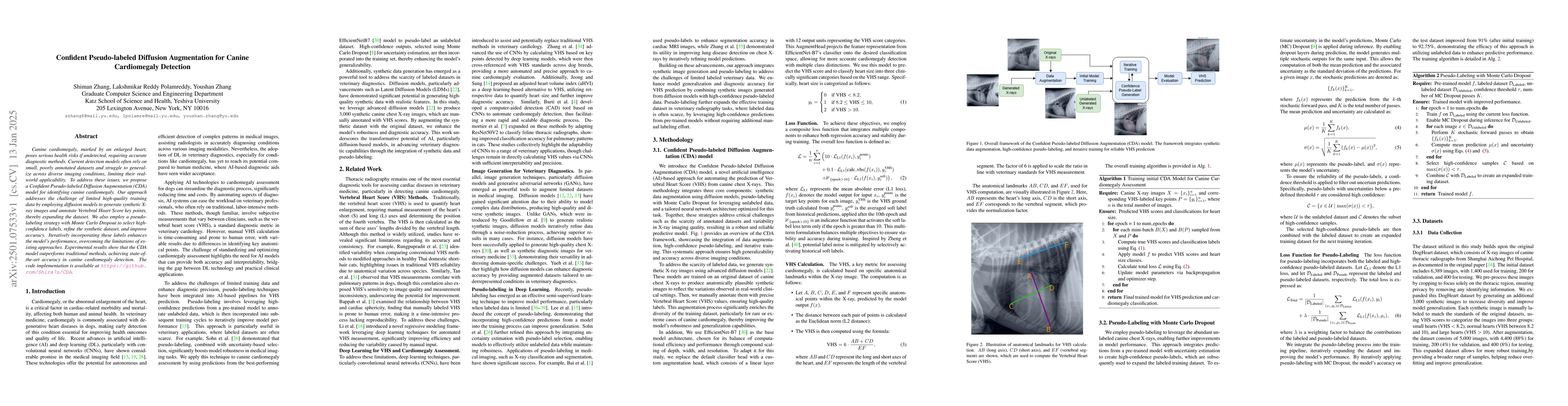 Thumbnail for Confident Pseudo-labeled Diffusion Augmentation for Canine Cardiomegaly
  Detection