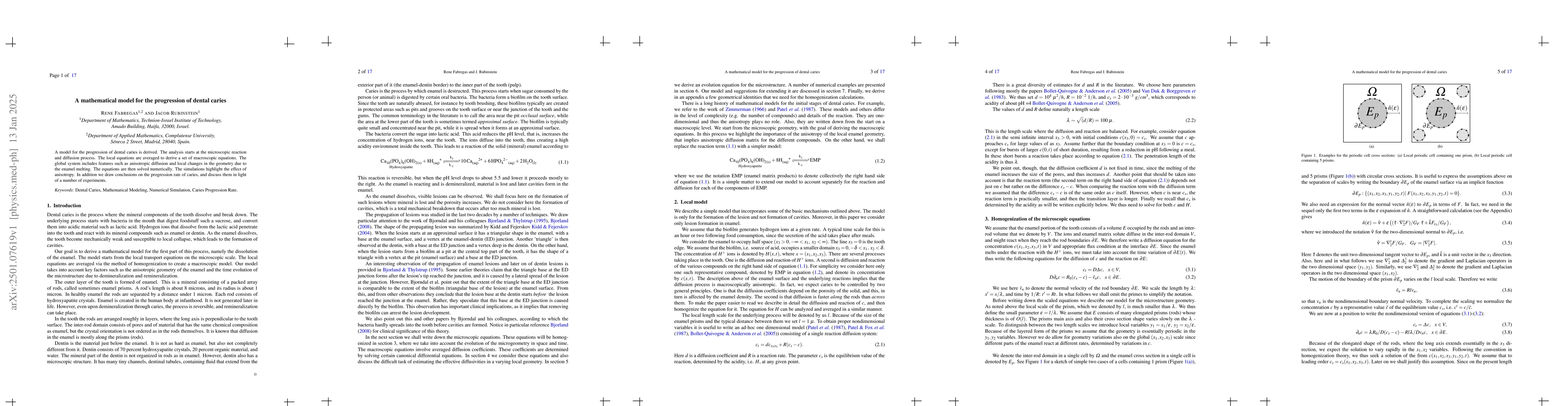 Thumbnail for A mathematical model for the progression of dental caries