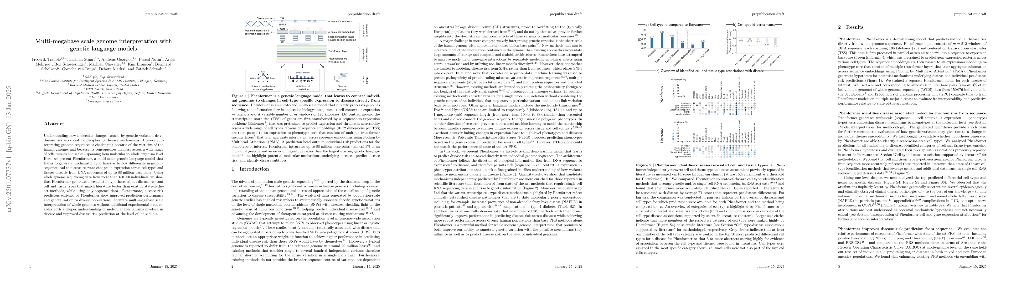 Thumbnail for Multi-megabase scale genome interpretation with genetic language models