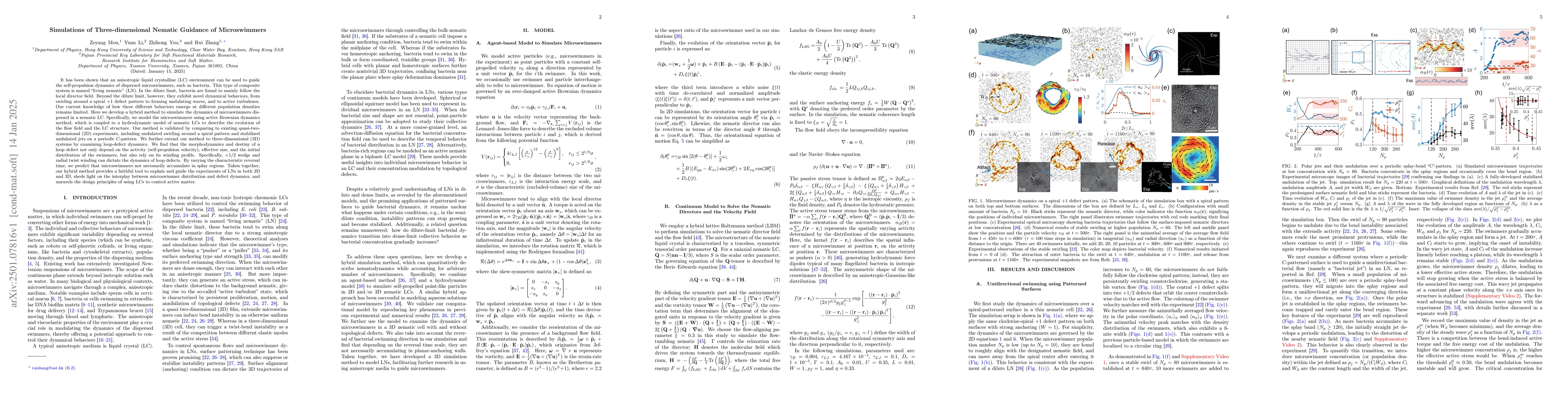 Thumbnail for Simulations of Three-dimensional Nematic Guidance of Microswimmers