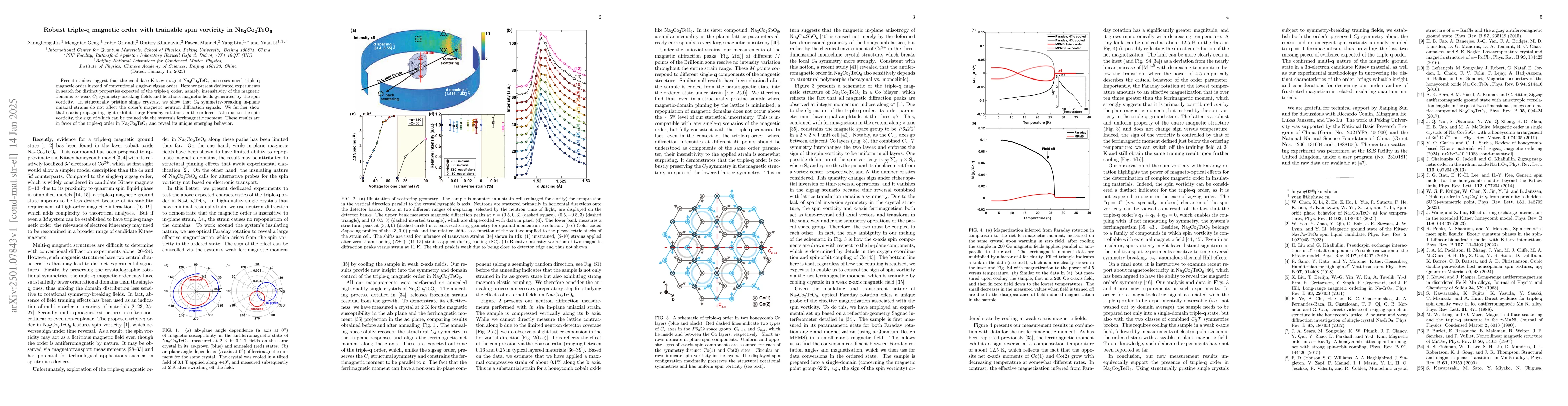 Thumbnail for Robust triple-q magnetic order with trainable spin vorticity in
  Na$_2$Co$_2$TeO$_6$