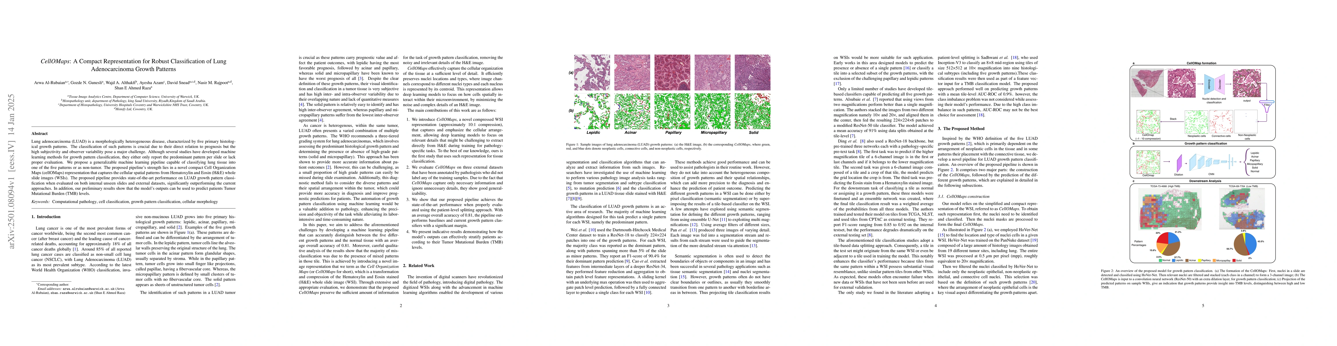 Thumbnail for CellOMaps: A Compact Representation for Robust Classification of Lung
  Adenocarcinoma Growth Patterns