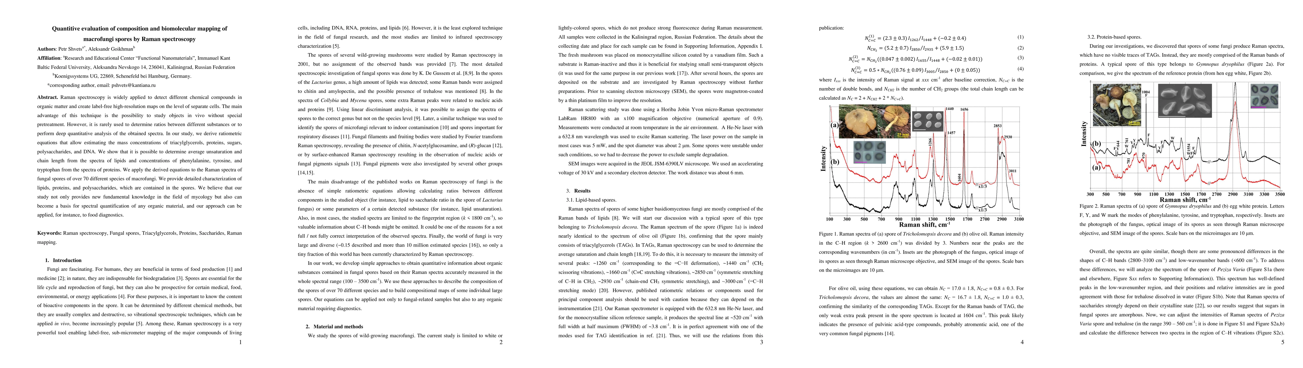 Thumbnail for Quantitive evaluation of composition and biomolecular mapping of
  macrofungi spores by Raman spectroscopy