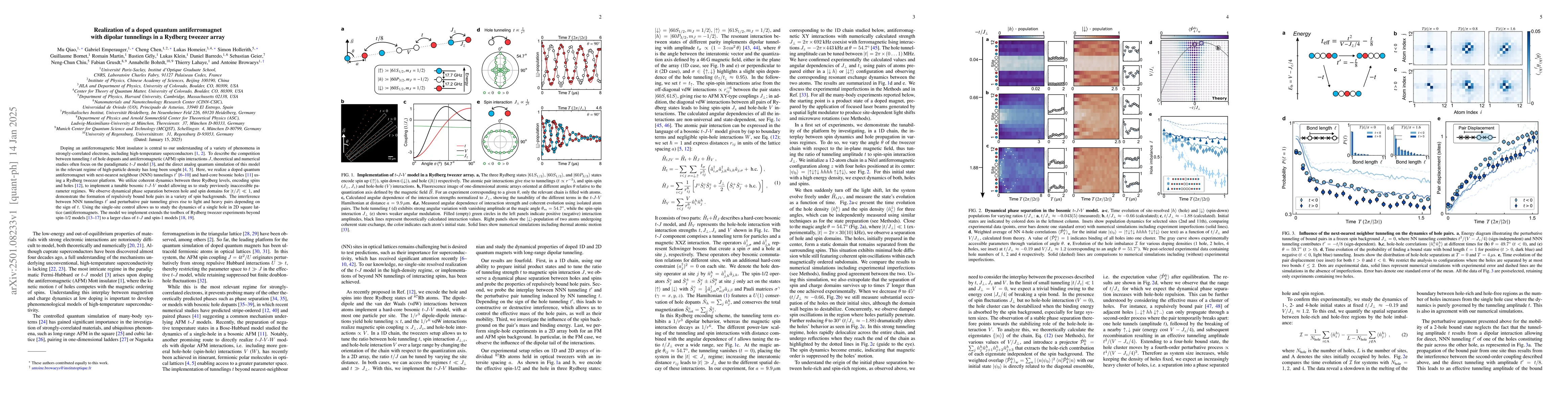 Thumbnail for Realization of a doped quantum antiferromagnet with dipolar tunnelings
  in a Rydberg tweezer array