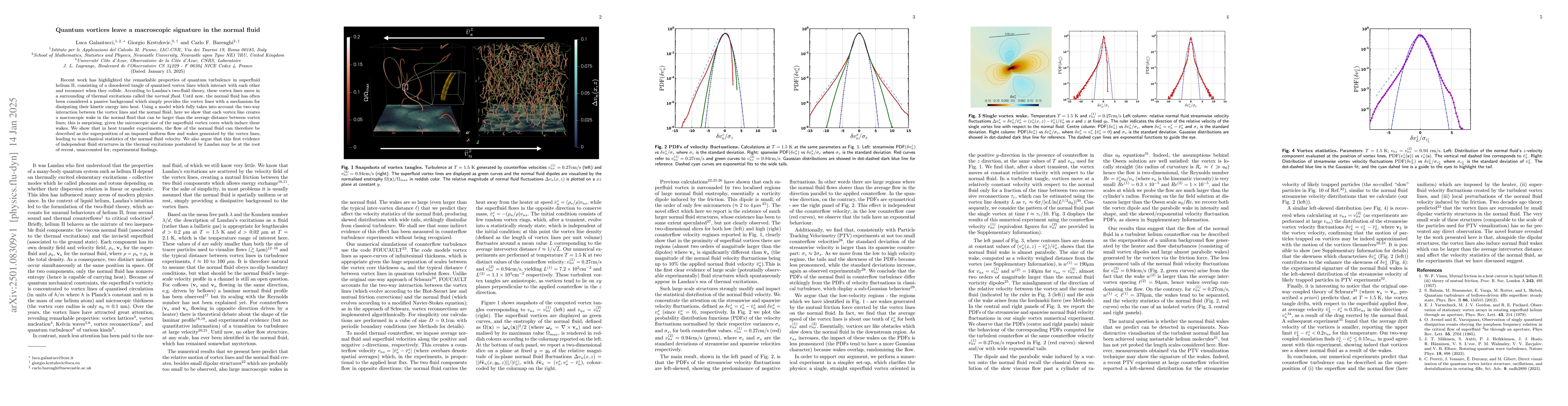 Thumbnail for Quantum vortices leave a macroscopic signature in the normal fluid