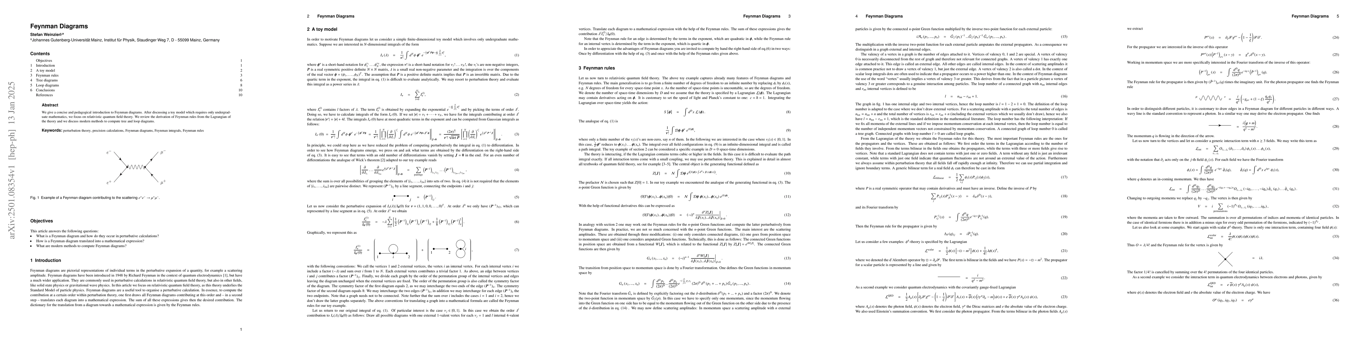 Thumbnail for Feynman Diagrams
