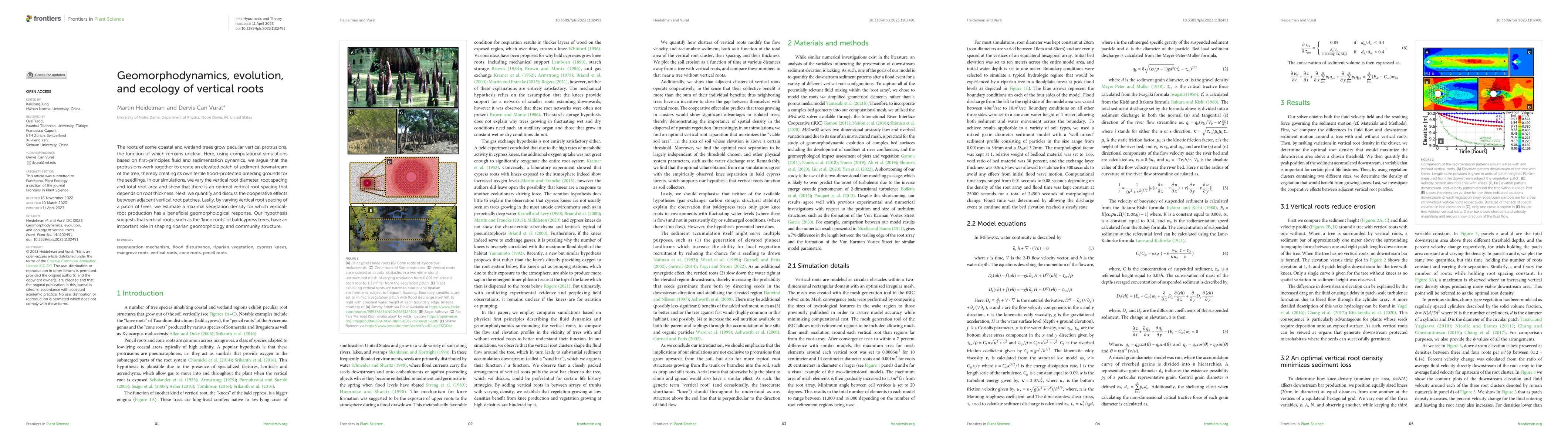 Thumbnail for Geomorphodynamics, evolution, and ecology of vertical roots