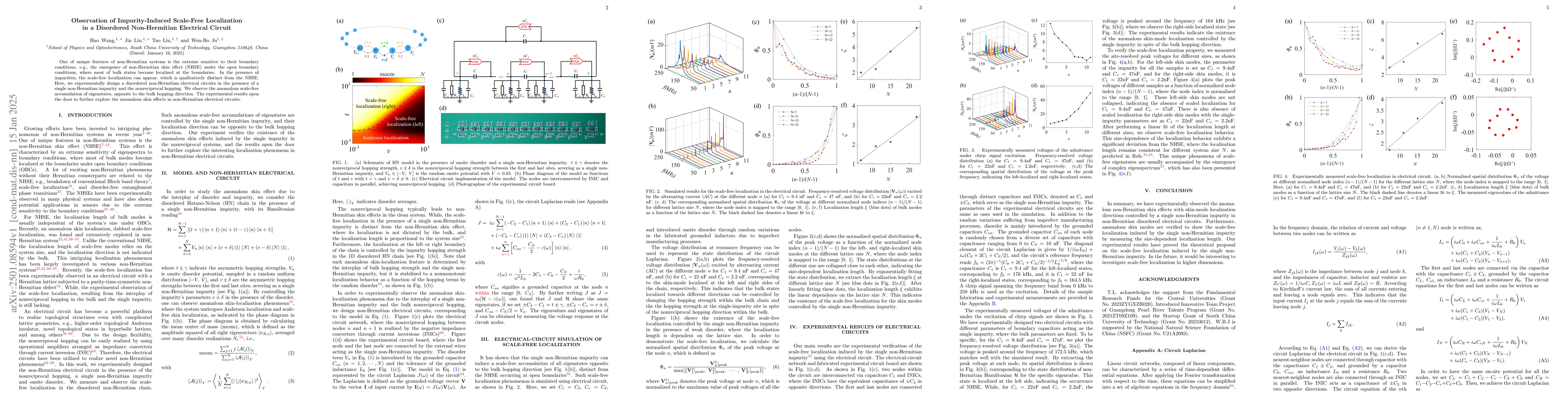 Thumbnail for Observation of Impurity-Induced Scale-Free Localization in a Disordered
  Non-Hermitian Electrical Circuit