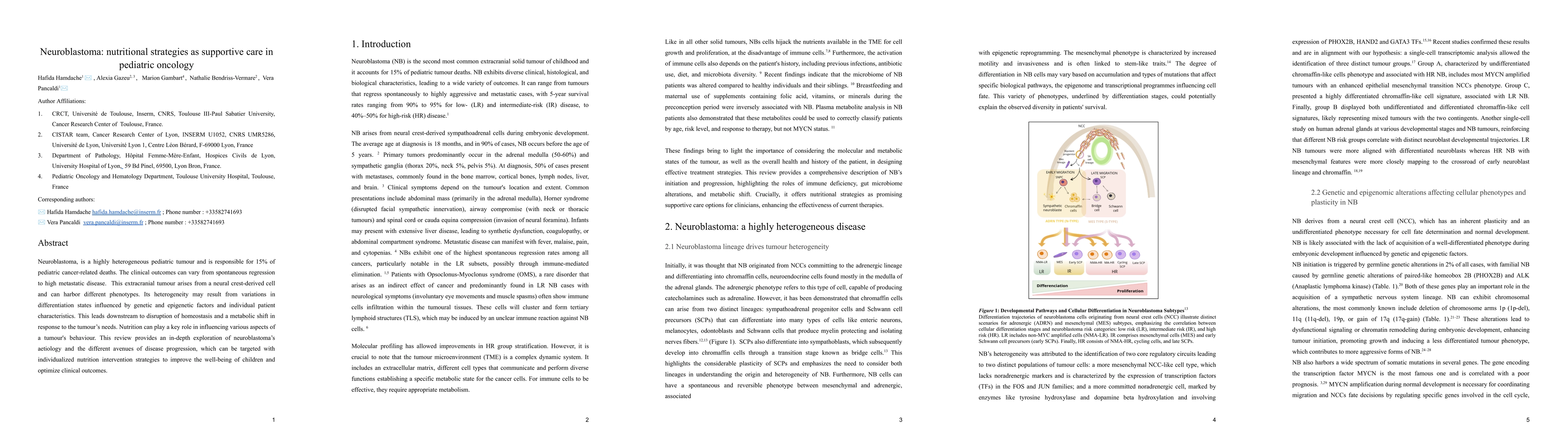 Thumbnail for Neuroblastoma: nutritional strategies as supportive care in pediatric
  oncology