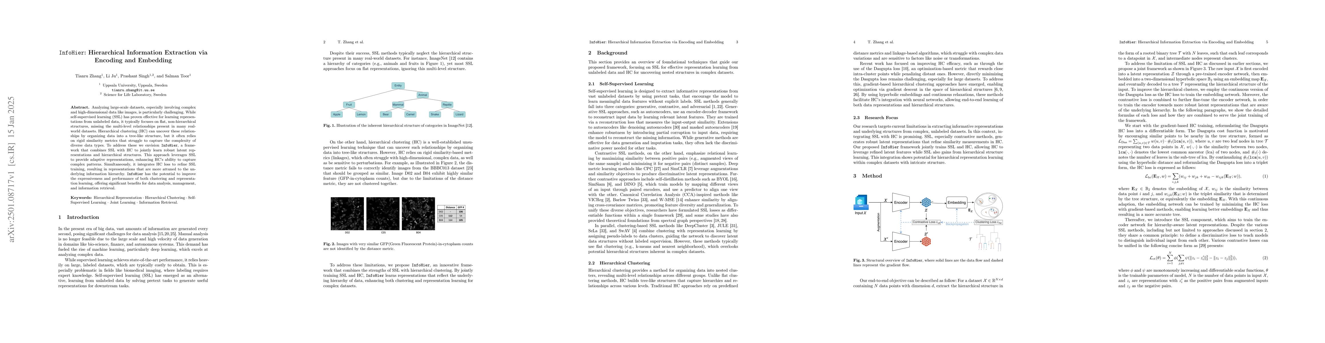 Thumbnail for $\texttt{InfoHier}$: Hierarchical Information Extraction via Encoding
  and Embedding