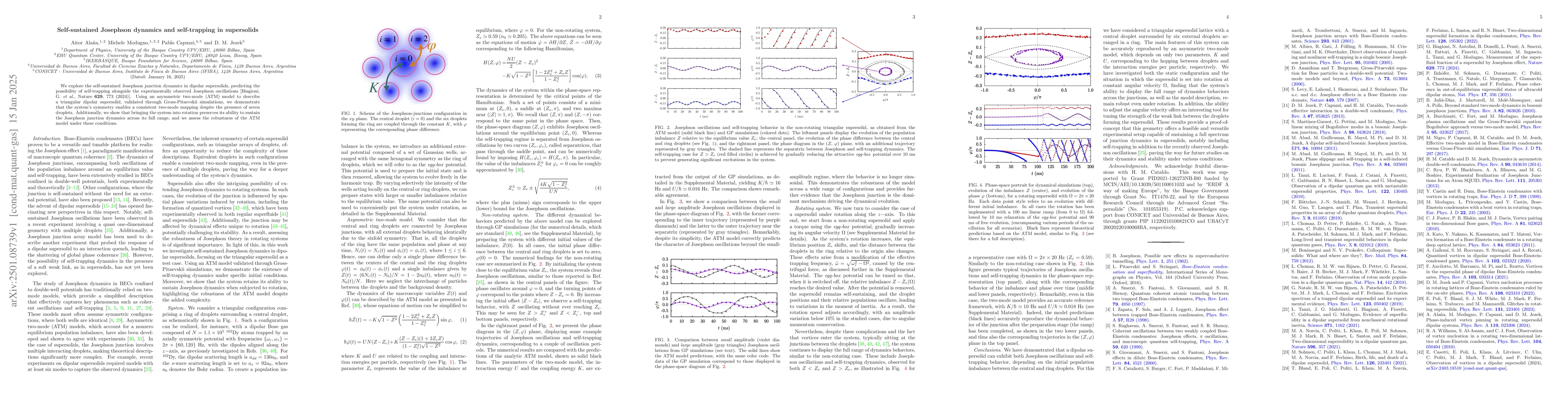 Thumbnail for Self-sustained Josephson dynamics and self-trapping in supersolids