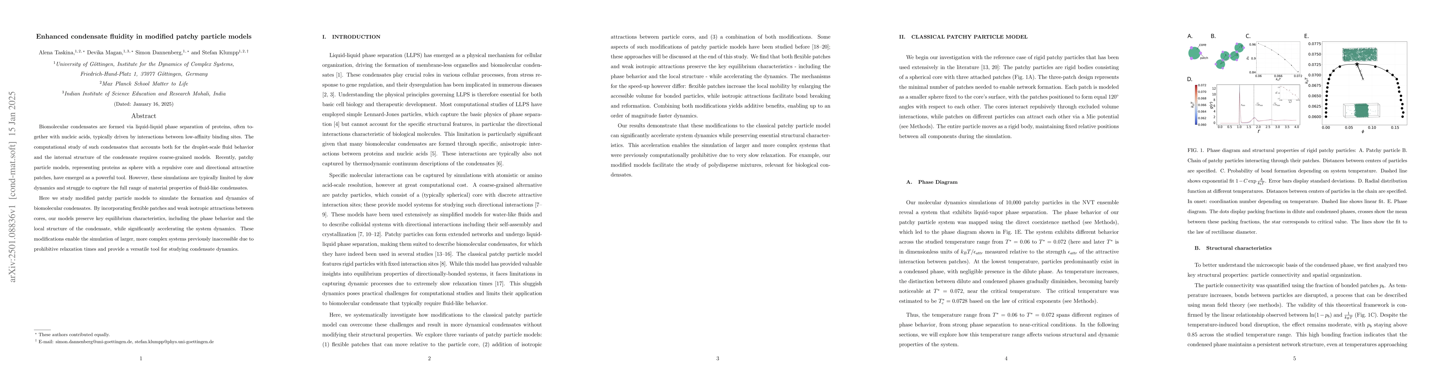 Thumbnail for Enhanced condensate fluidity in modified patchy particle models