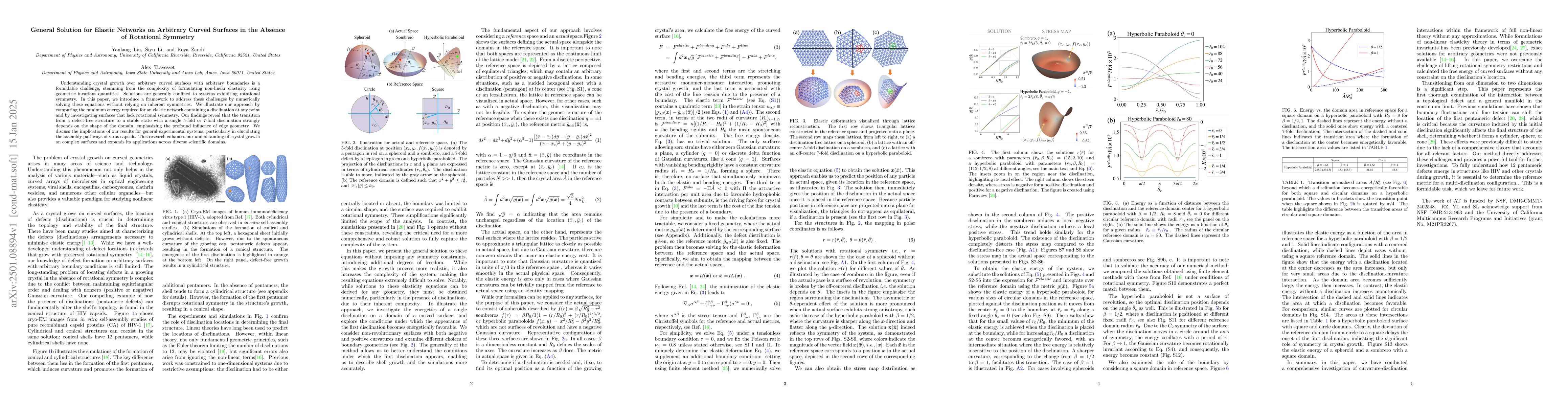 Thumbnail for General Solution for Elastic Networks on Arbitrary Curved Surfaces in
  the Absence of Rotational Symmetry