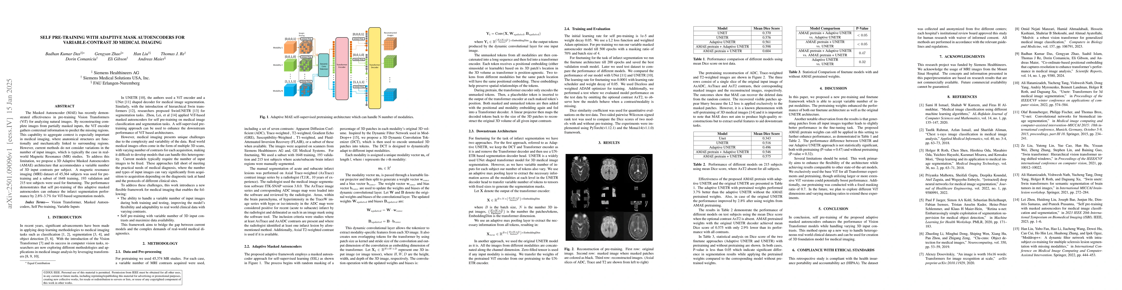 Thumbnail for Self Pre-training with Adaptive Mask Autoencoders for Variable-Contrast
  3D Medical Imaging