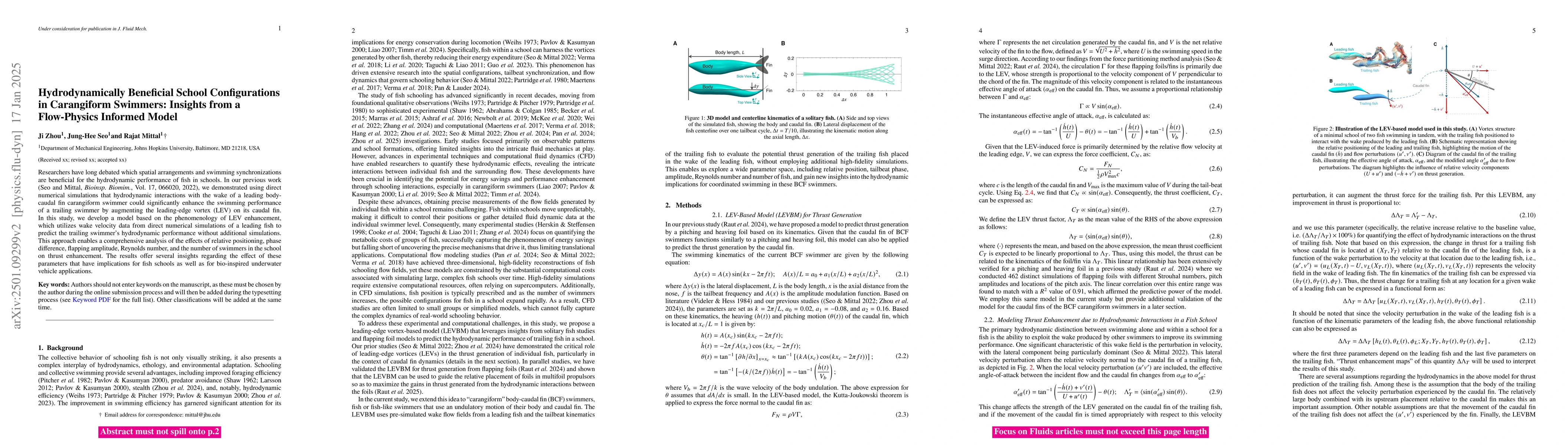 Thumbnail for Hydrodynamically Beneficial School Configurations in Carangiform
  Swimmers: Insights from Flow-Physics Informed Models