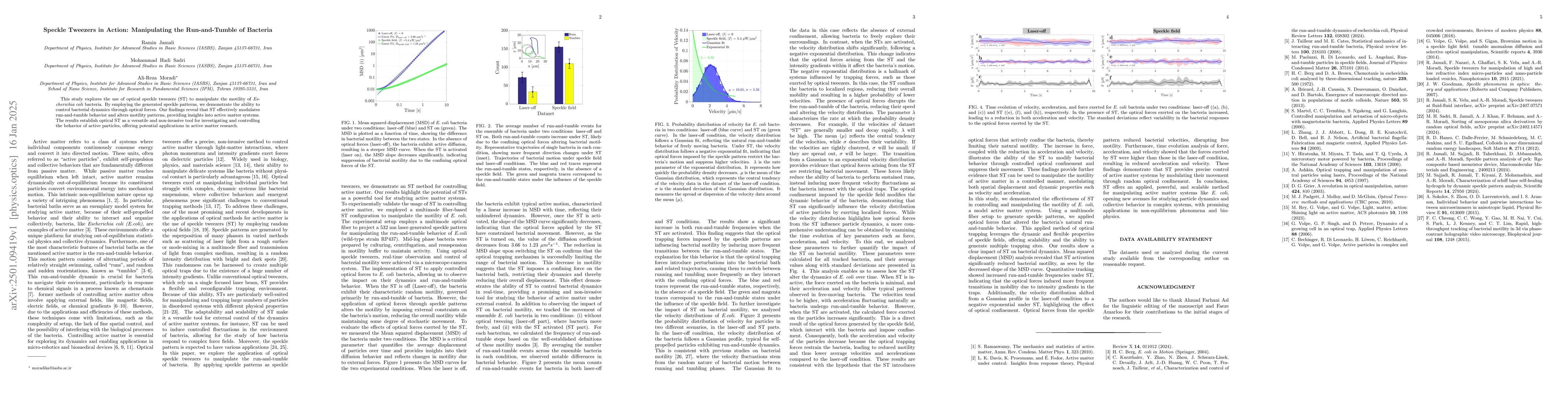 Thumbnail for Speckle Tweezers in Action: Manipulating the Run-and-Tumble of Bacteria