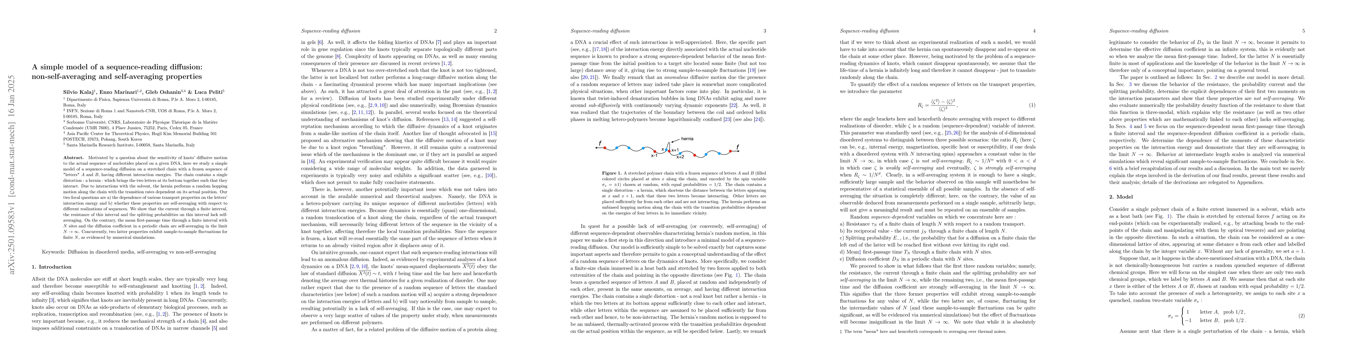Thumbnail for A simple model of a sequence-reading diffusion: non-self-averaging and
  self-averaging properties