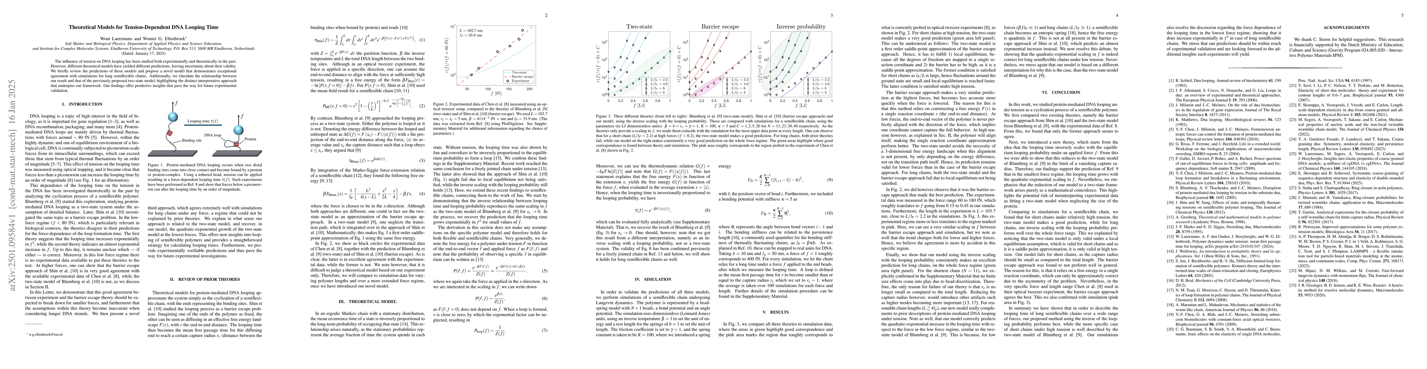 Thumbnail for Theoretical Models for Tension-Dependent DNA Looping Time