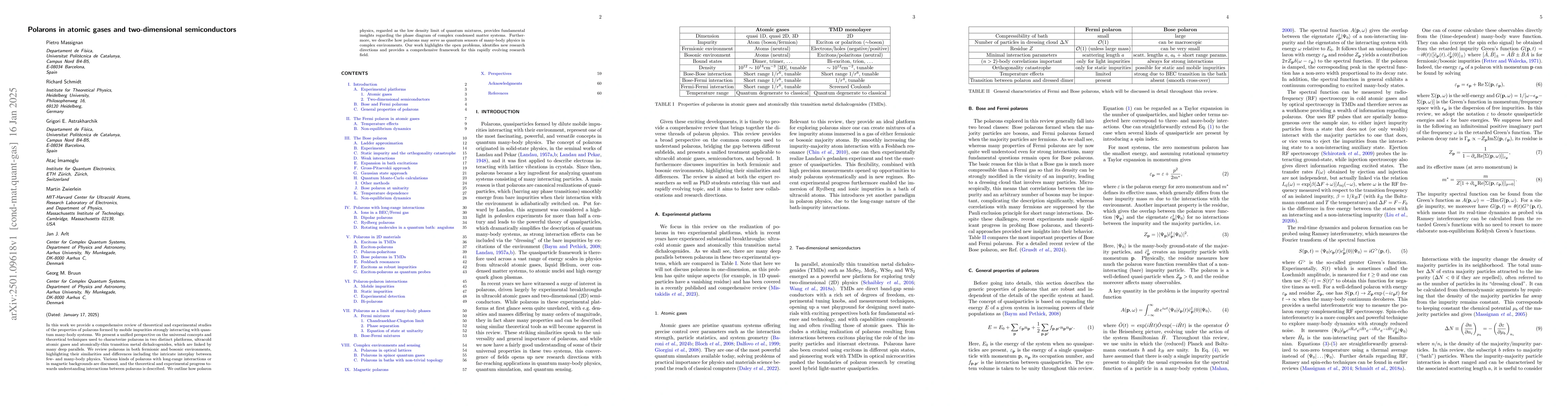 Thumbnail for Polarons in atomic gases and two-dimensional semiconductors