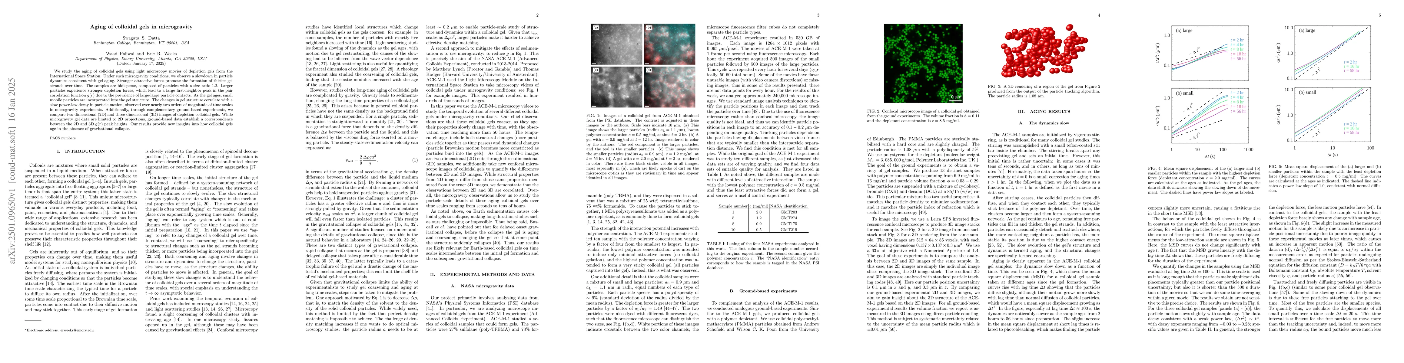 Thumbnail for Aging of colloidal gels in microgravity