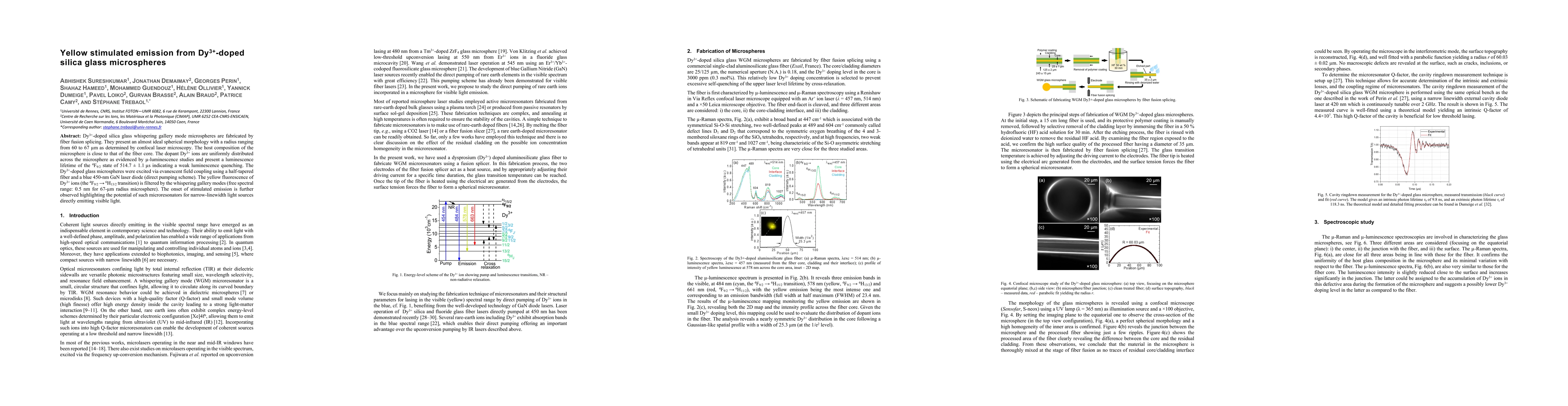 Thumbnail for Yellow stimulated emission from Dy$^{3+}$-doped silica glass
  microspheres