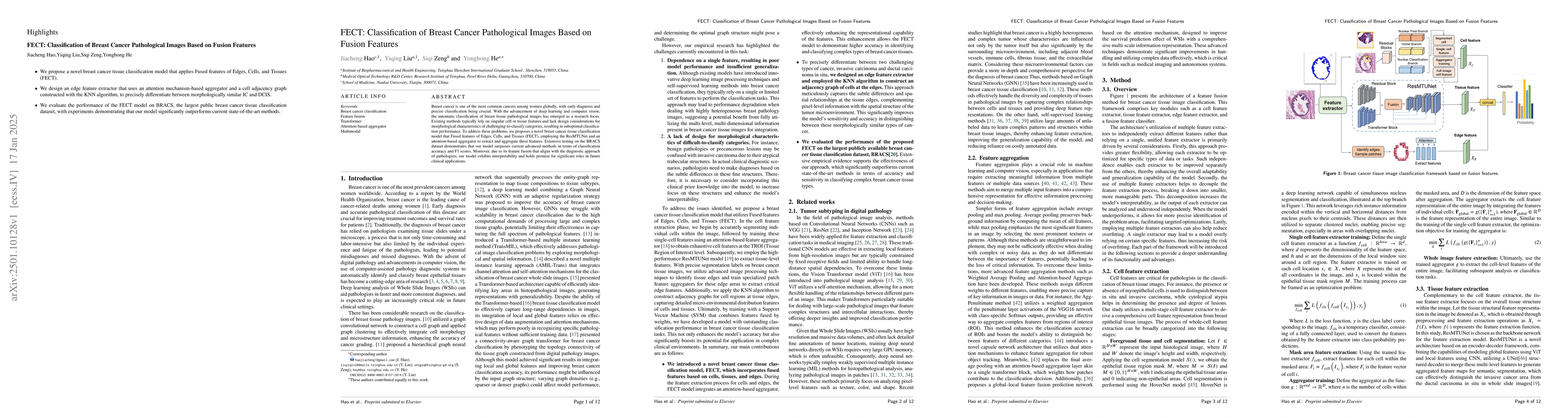 Thumbnail for FECT: Classification of Breast Cancer Pathological Images Based on
  Fusion Features