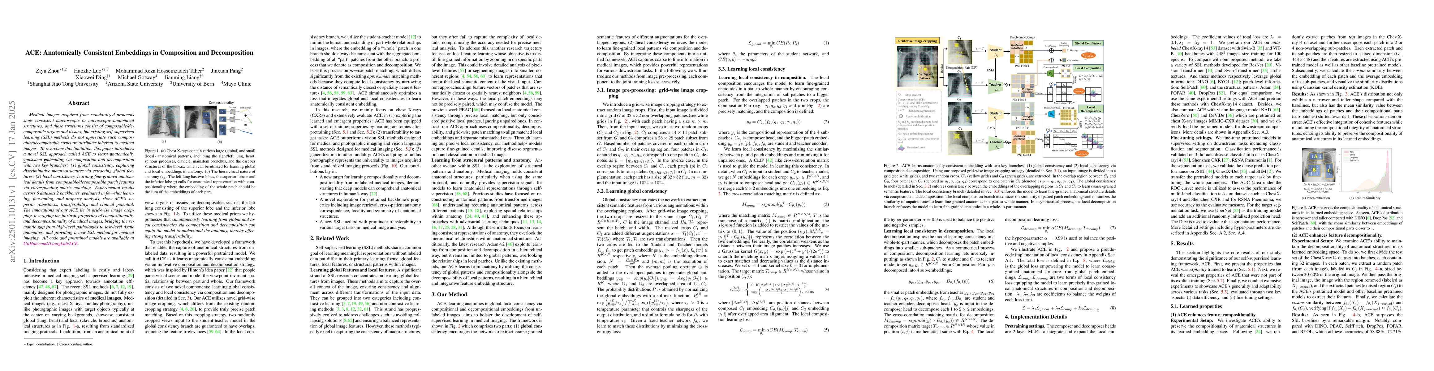 Thumbnail for ACE: Anatomically Consistent Embeddings in Composition and Decomposition