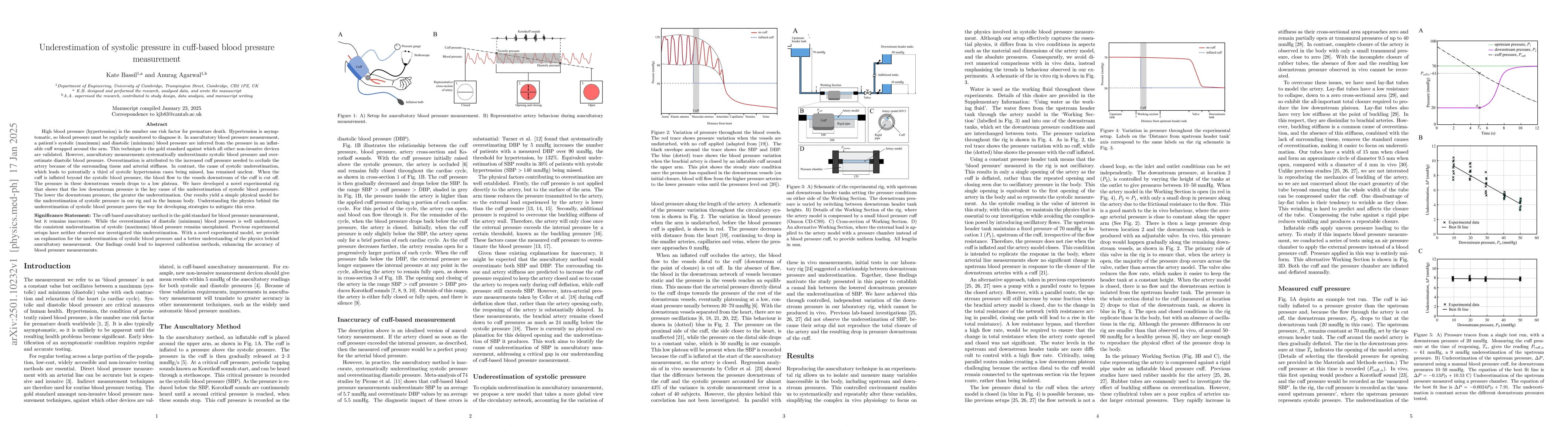 Thumbnail for Underestimation of systolic pressure in cuff-based blood pressure
  measurement