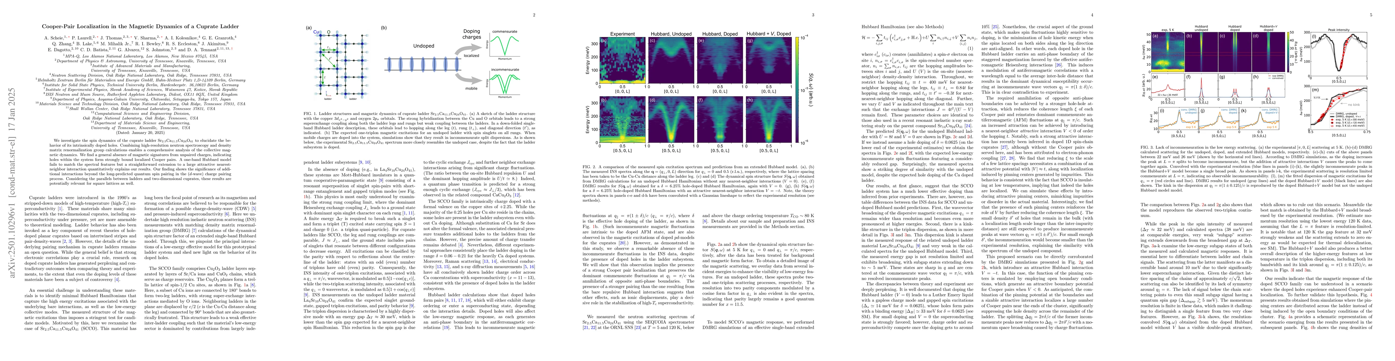 Thumbnail for Cooper-Pair Localization in the Magnetic Dynamics of a Cuprate Ladder