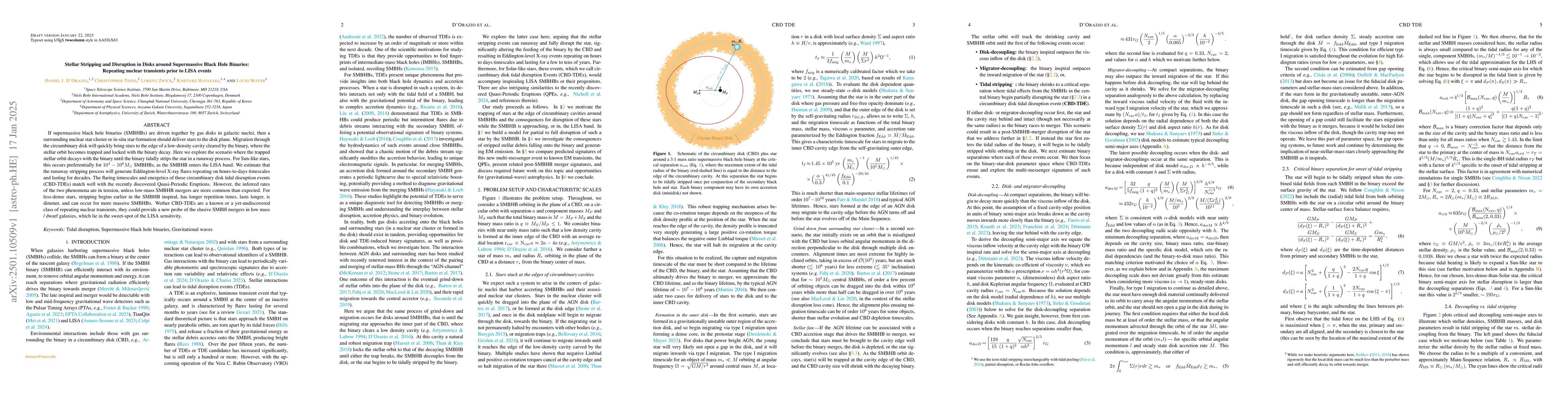 Thumbnail for Stellar Stripping and Disruption in Disks around Supermassive Black Hole
  Binaries: Repeating nuclear transients prior to LISA events