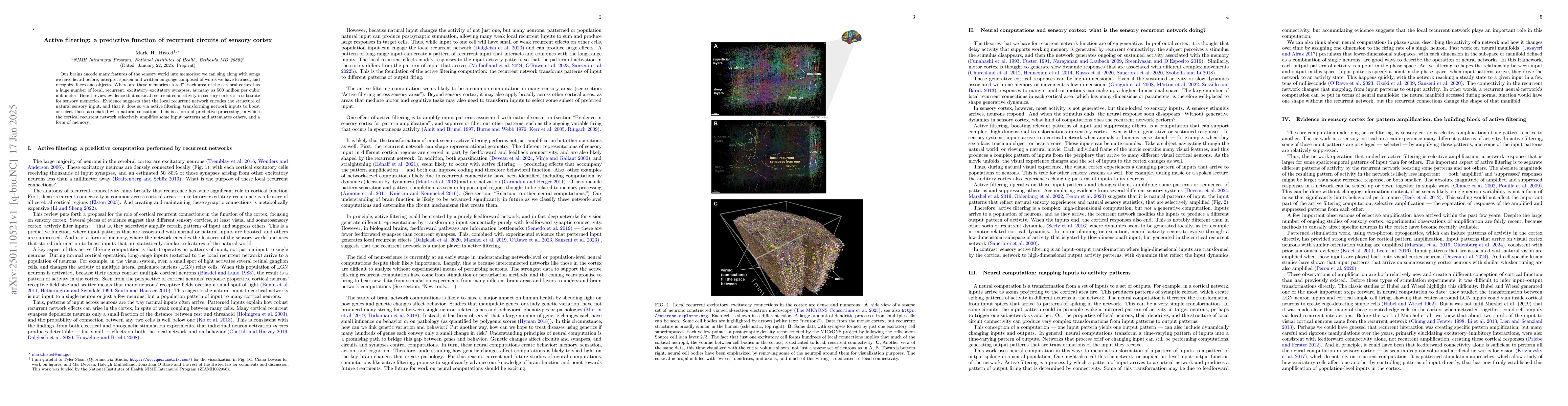 Thumbnail for Active filtering: a predictive function of recurrent circuits of sensory
  cortex