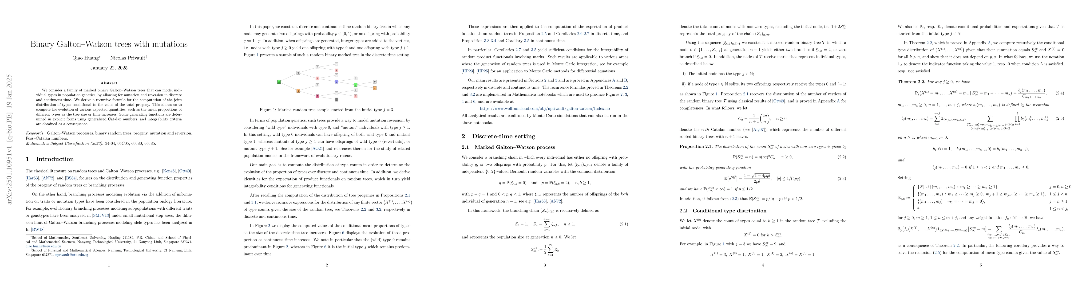 Thumbnail for Binary Galton-Watson trees with mutations