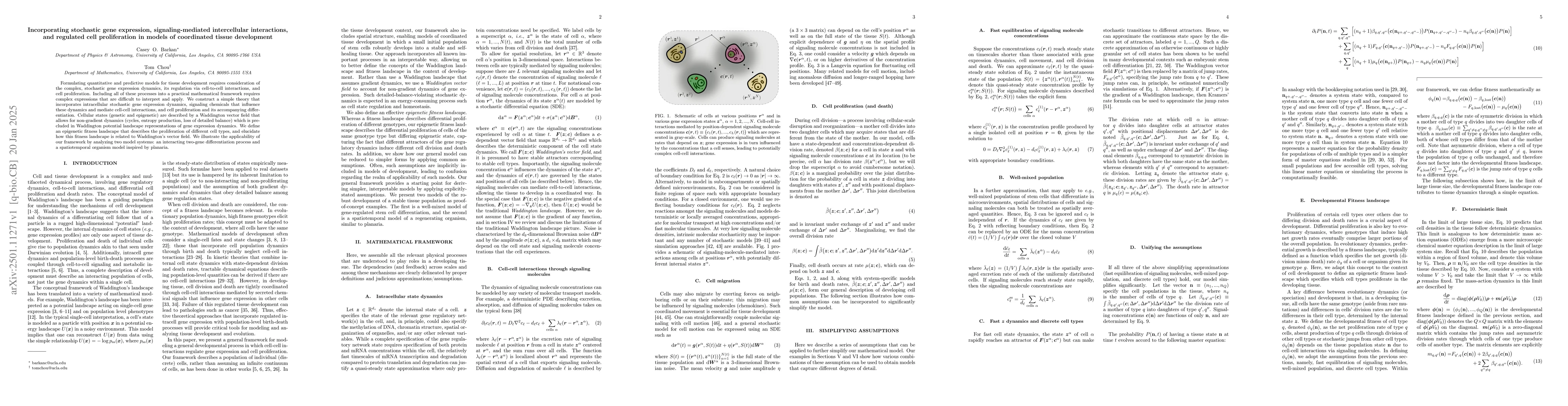 Thumbnail for Incorporating stochastic gene expression, signaling-mediated
  intercellular interactions, and regulated cell proliferation in models of
  coordinated tissue development