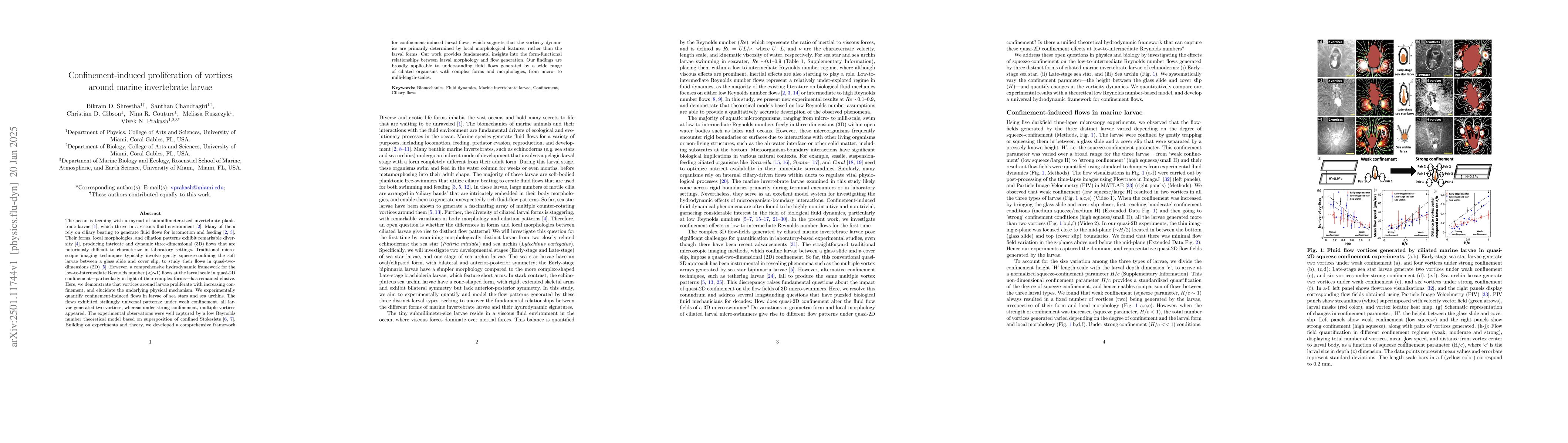 Thumbnail for Confinement-induced proliferation of vortices around marine invertebrate
  larvae