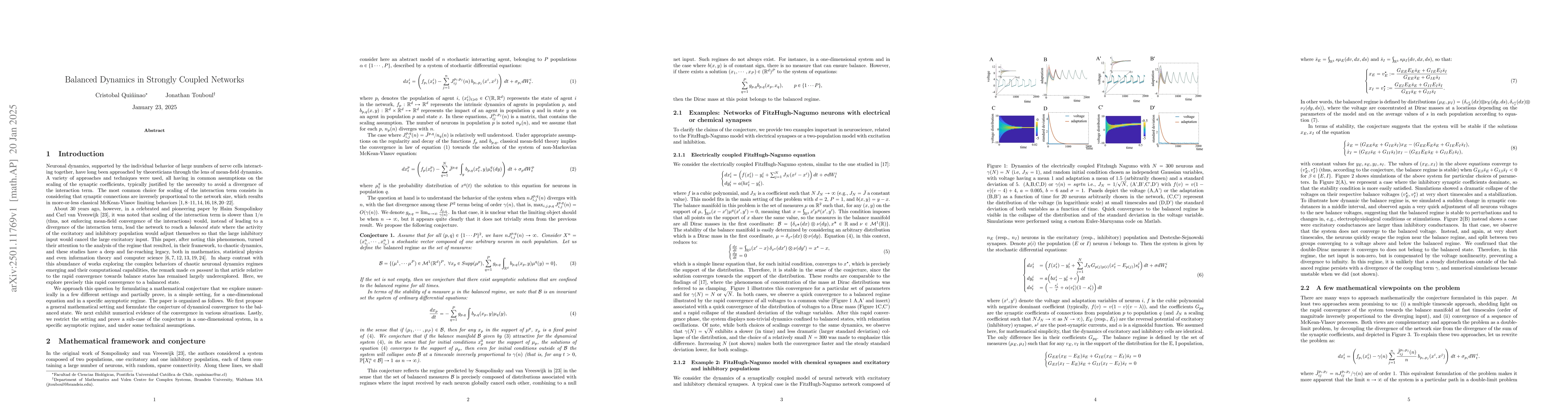 Thumbnail for Balanced Dynamics in Strongly Coupled Networks