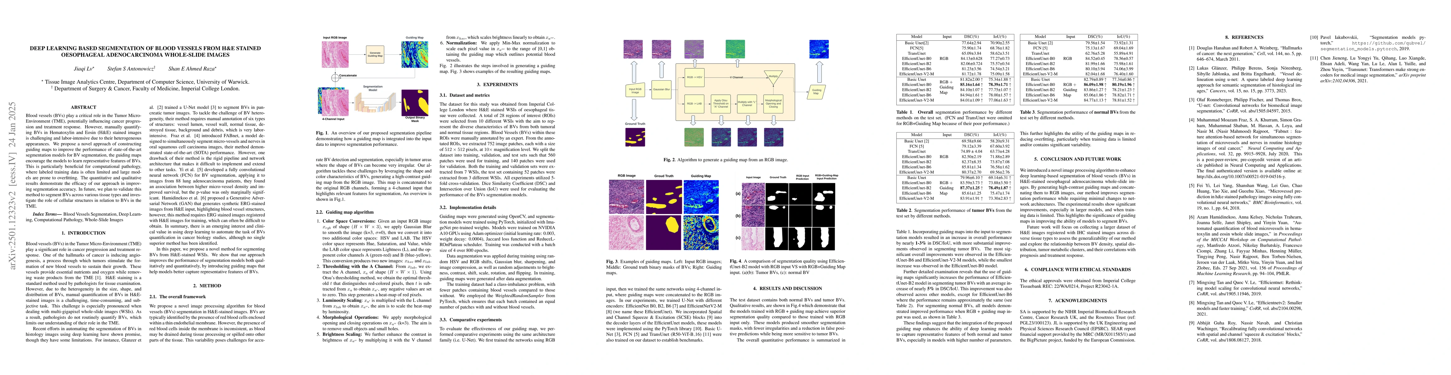 Thumbnail for Deep Learning Based Segmentation of Blood Vessels from H&E Stained
  Oesophageal Adenocarcinoma Whole-Slide Images