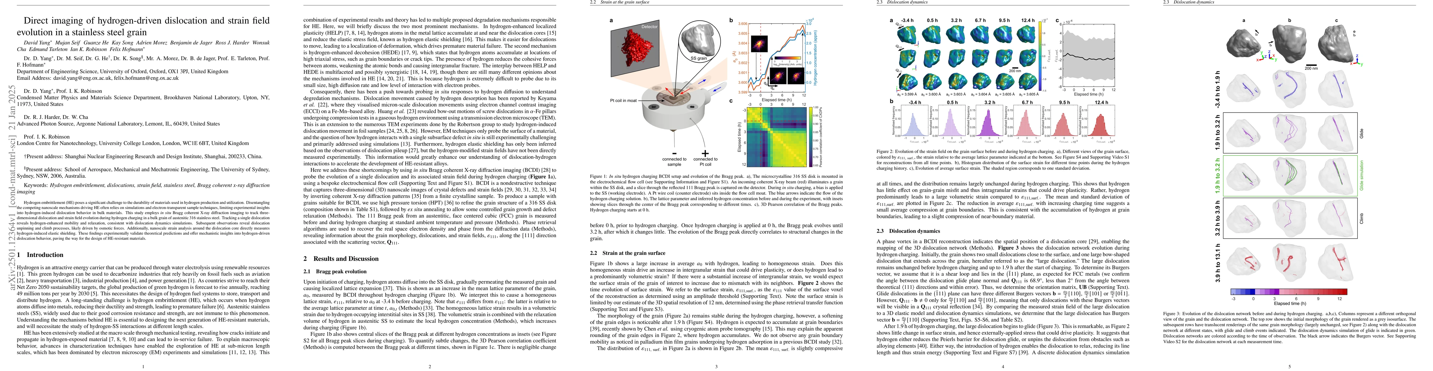 Thumbnail for Direct imaging of hydrogen-driven dislocation and strain field evolution
  in a stainless steel grain